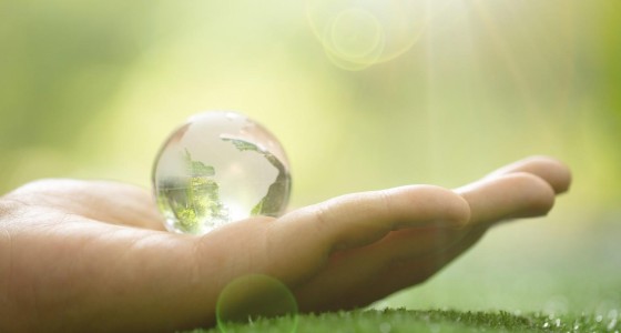 1. Environmental Sustainability